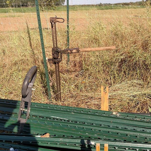 Read more about the article Favorite tool of the day: Farm Jack. No farm should be without one. Here we’ve been using it to pull up tposts that were used for a tomato trellis all summer.
