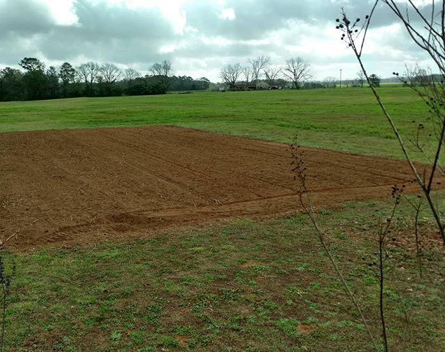 Oh, the promise and potential of a freshly tilled field! 
What good food will be produced here? How many people will be fed from this small field?

Stay tuned!