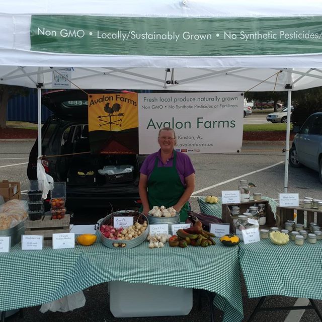 Read more about the article Poplar Head farmers market in Dothan is open! Come see the goodies we have today – Fresh bread, fresh eggs, beets, salad turnips, Japanese eggplants, garlic, herb salts, beautiful Italian frying peppers, blackberries, and a few other surprises! All naturally grown with no synthetic pesticides or fertilizers. Yum!
