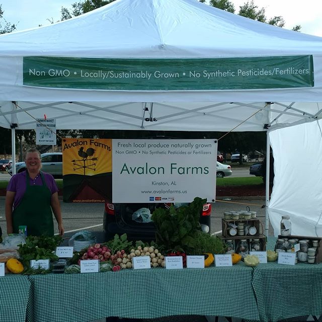 You are currently viewing Up bright and early for the opening day of Poplar Head Farmers Market in Dothan. Stop by and say hi!