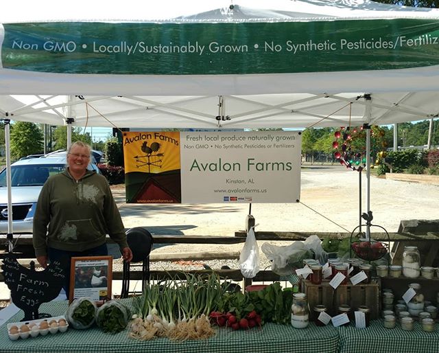 You are currently viewing All setup at @dothan.nurseries! We’ve got spinich, green garlic, green onions, Senposai, radishes, pasture raised whole chickens and eggs, herb salts, brine and our tasty jams and other goodies. We’re here until 1:00 – stop by and say hi! .