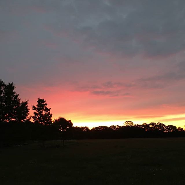 Read more about the article Shout out to all the other farm folk up early feeding the critters and loading up for farmers market day. Have a great one! .