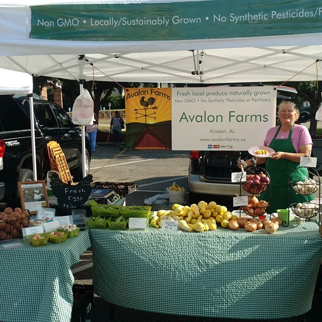 You are currently viewing Morning! Beautiful morning here at Poplar Head farmers market in downtown Dothan. Come have a sample of Sassy Apricot Jam, our version of a pepper jelly. Excellent on grilled meat!