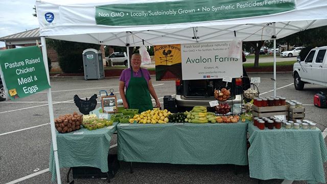Read more about the article Morning! A nice cooler day here at Poplar Head farmers market in historic downtown Dothan. Come on down and see the goodies this week!
