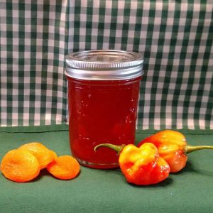 Sassy Apricot Jam